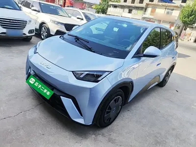 BYD Seagull