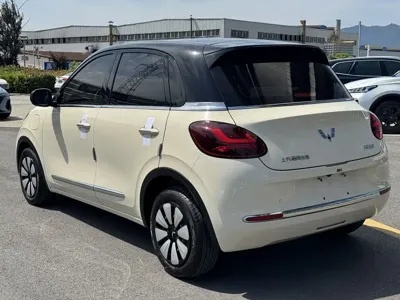 Wuling Bingo