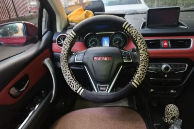 Haval H1