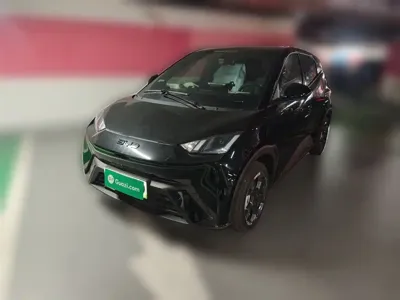 BYD Seagull