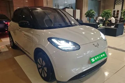 Wuling Bingo