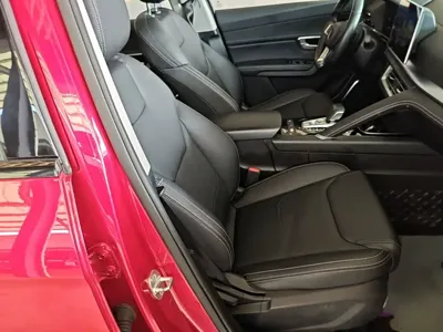 BYD Pro