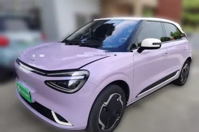 Dongfeng NAMMI 01