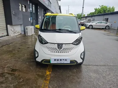 Baojun E100