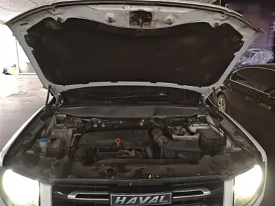 Haval Big Dog