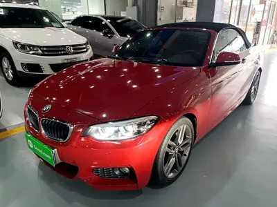 BMW 2 Series (Import)