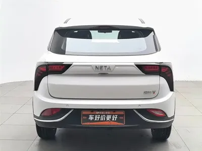 NETA Neta V