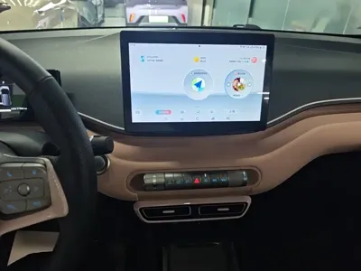 BYD Seagull