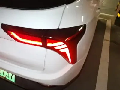 NETA Neta V