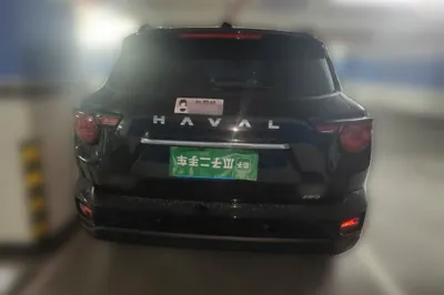 Haval H Dog