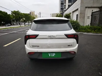 NETA Neta V