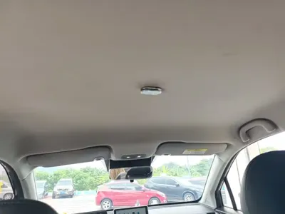 NETA Neta V