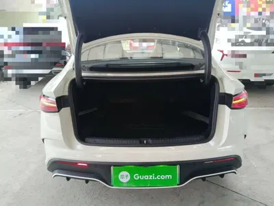 BYD 海豹06