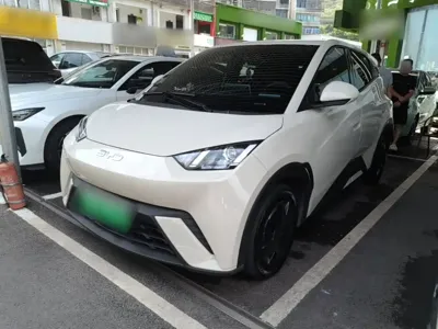 BYD Seagull