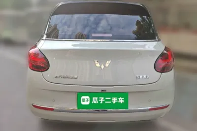 Wuling Bingo