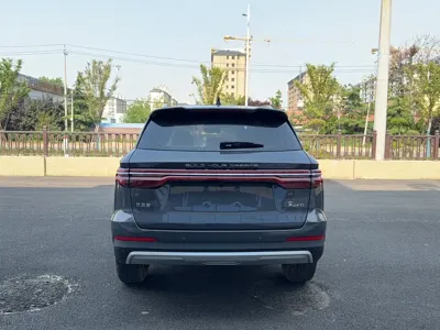 BYD Pro