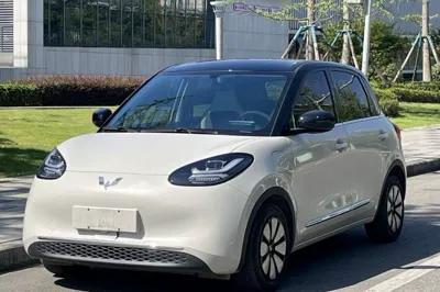 Wuling Bingo