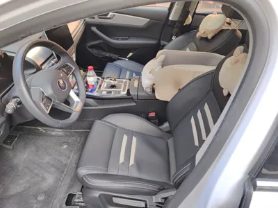 BYD Qin Pro New Energy