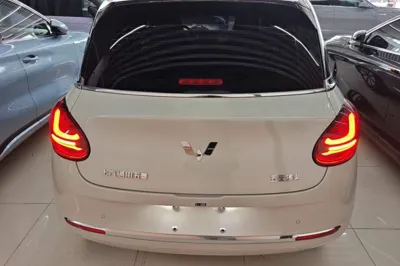 Wuling Bingo