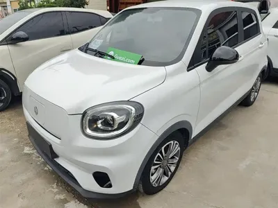 Leapmotor Leapmotor T03