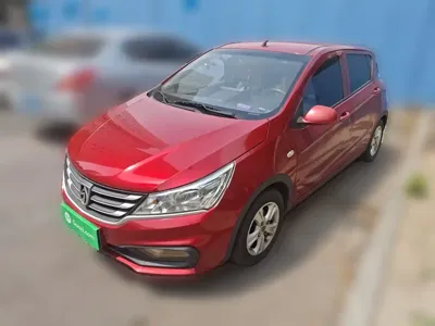 Baojun 310
