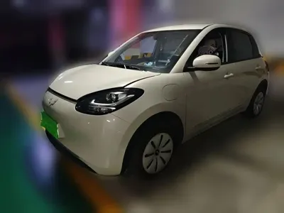Wuling Bingo