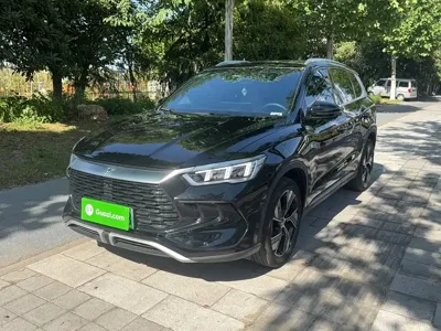 BYD Pro New Energy