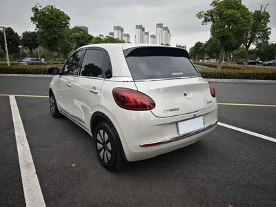 Wuling Bingo