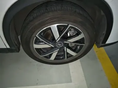 BYD Pro New Energy