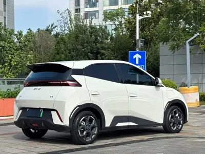BYD Seagull