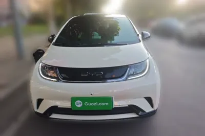 BYD Dolphin