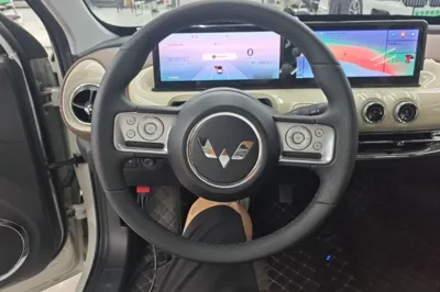 Wuling Bingo