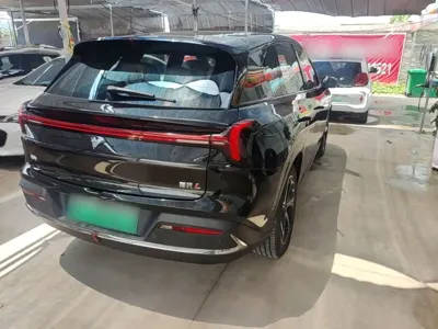 NETA Neta L