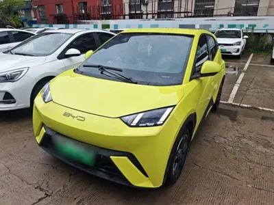 BYD Seagull