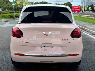 Wuling Bingo