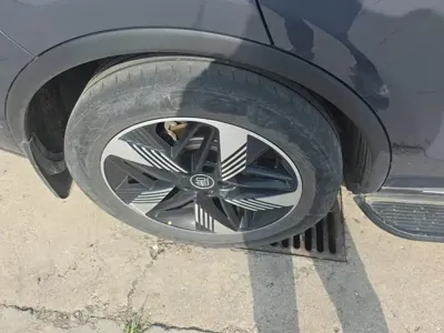 BYD Tang New Energy