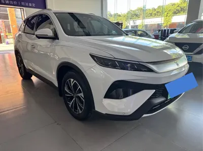 BYD Pro New Energy