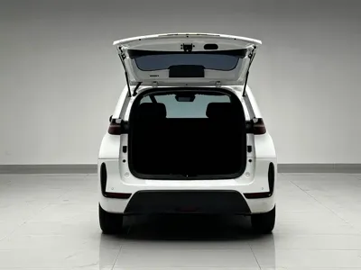 BYD D1