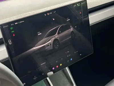 Tesla Model Y L