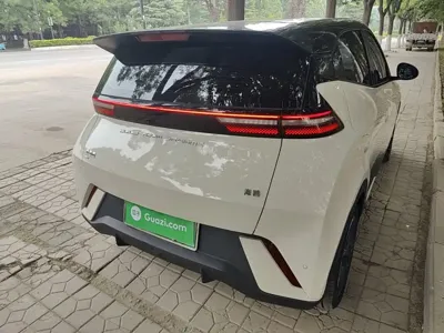 BYD Seagull