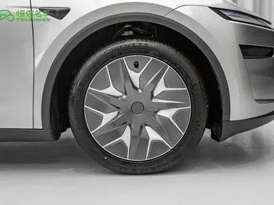 Tesla Model Y L