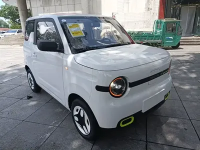 Galaxy Panda