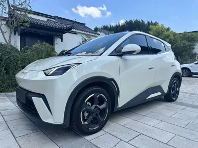 BYD Seagull