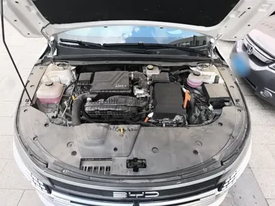 BYD Destroyer 05
