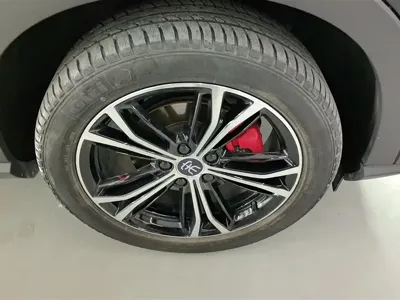 BYD PLUS