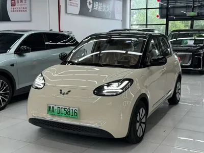 Wuling Bingo