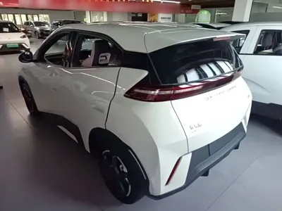 BYD Seagull