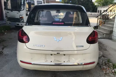 Wuling Bingo