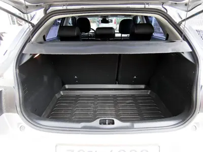 Citroen-DS C4 CACTUS
