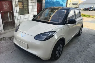 Wuling Bingo